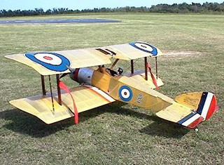 Bi-wing